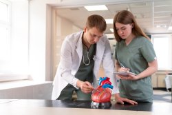 Why Primary Care Doctors Are the First Step in Heart Health